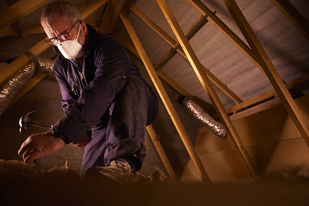 Best Attic Insulation Installation  in Inkster, MI